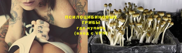 спайс Щёлкино