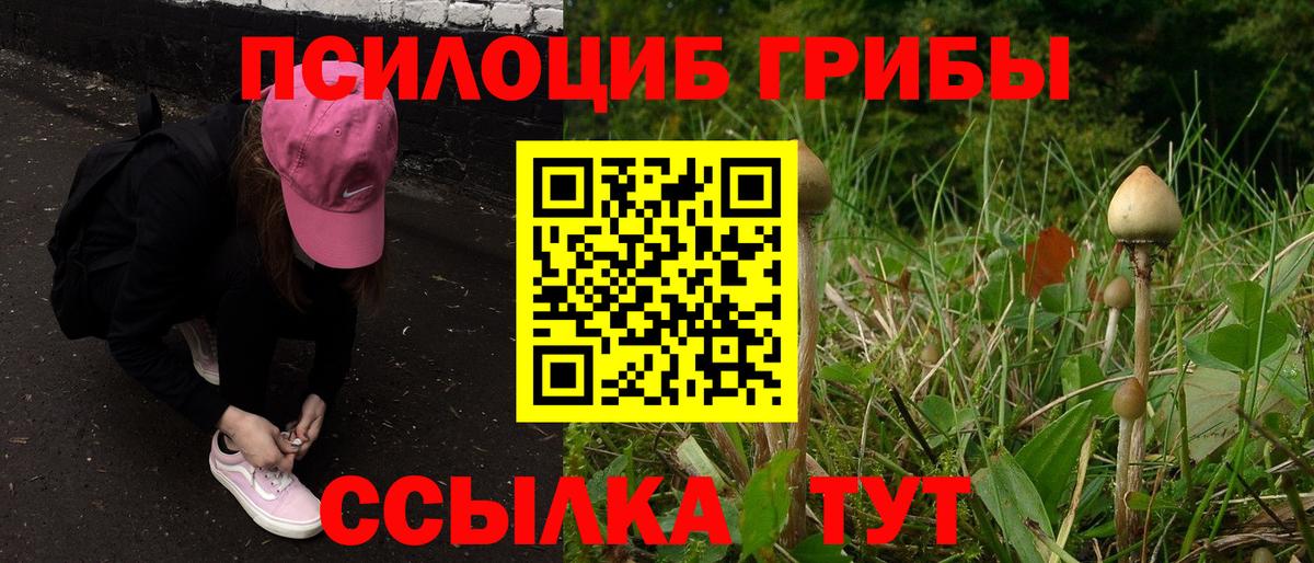 Галлюциногенные грибы MAGIC MUSHROOMS Старый Оскол