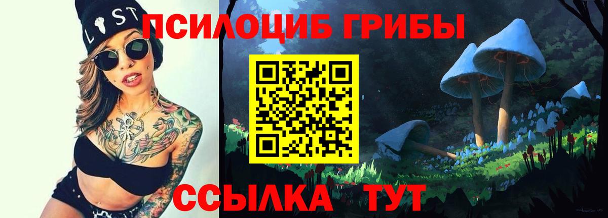Псилоцибиновые грибы мухоморы Старый Оскол